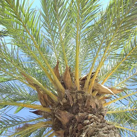 Select'sohome - Au Cœur Du Lavandou à Deux Pas De La Et Du Marché Provençal ! - Horizons-75 Appartamento *