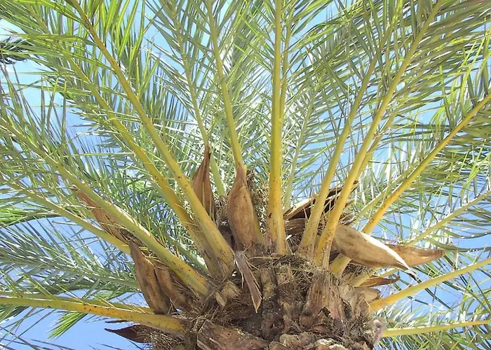 Select'sohome - Au Lavandou A Deux Pas De La Et Du Marche Pour 2 Personnes ! - Horizons-75 Lägenhet *